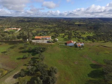 600-hectare hunting preserve with estates