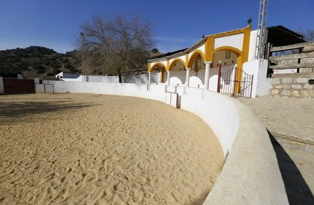 Andalusian cattle estate with 237 hectares