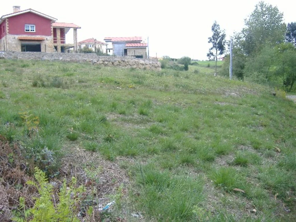 Semi-level Castrillon plot with services