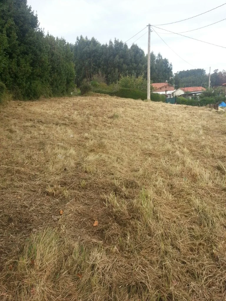 Sunny flat 569 m² plot