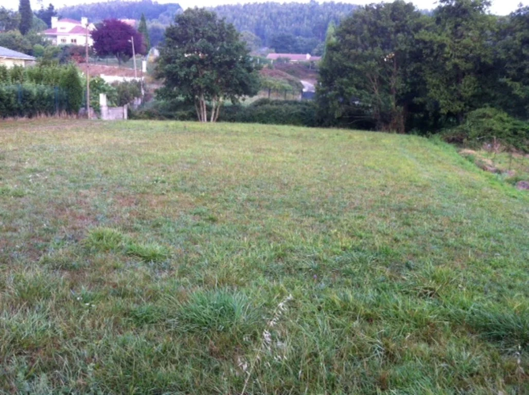 Buildable flat plot in Naveces