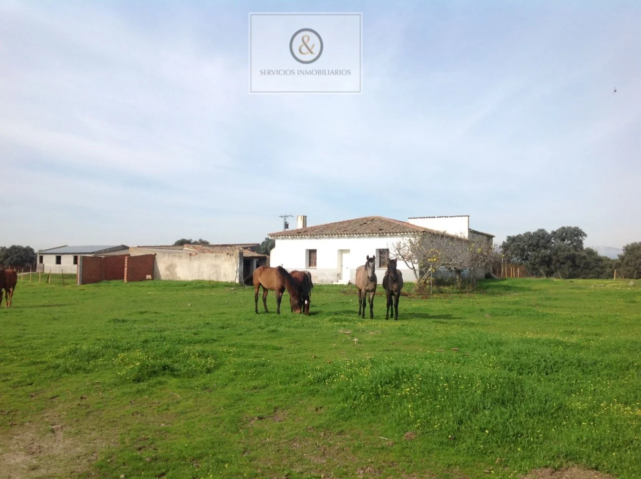 Dehesa estate near Velada, 120 hectares