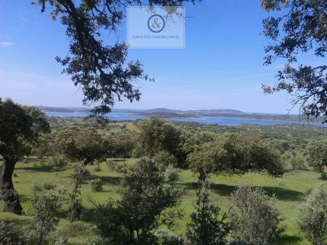 Finca de 172 hectáreas en frontera portuguesa