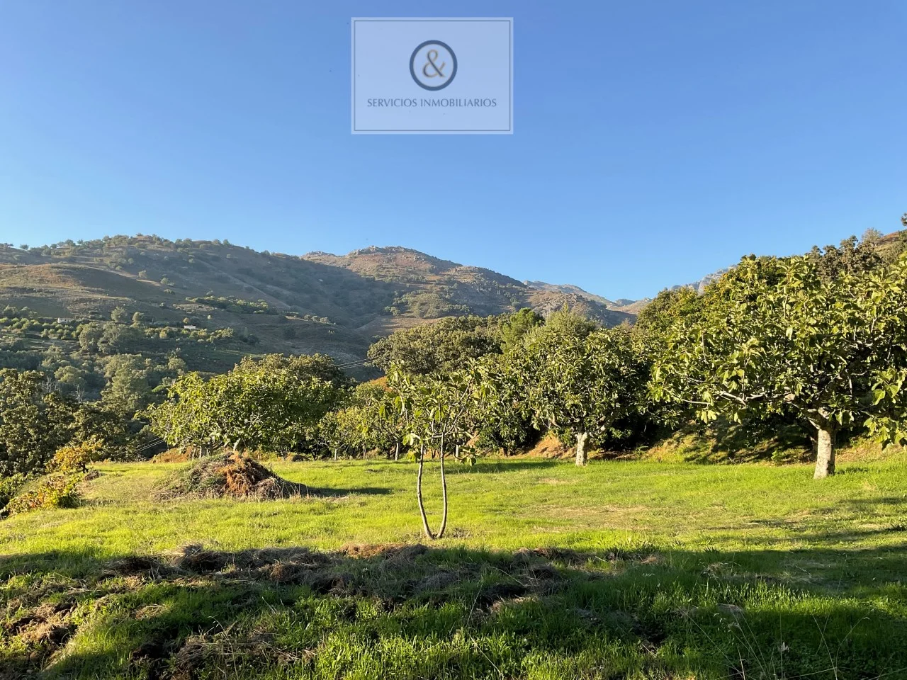 Finca rústica productiva con edificios agrícolas