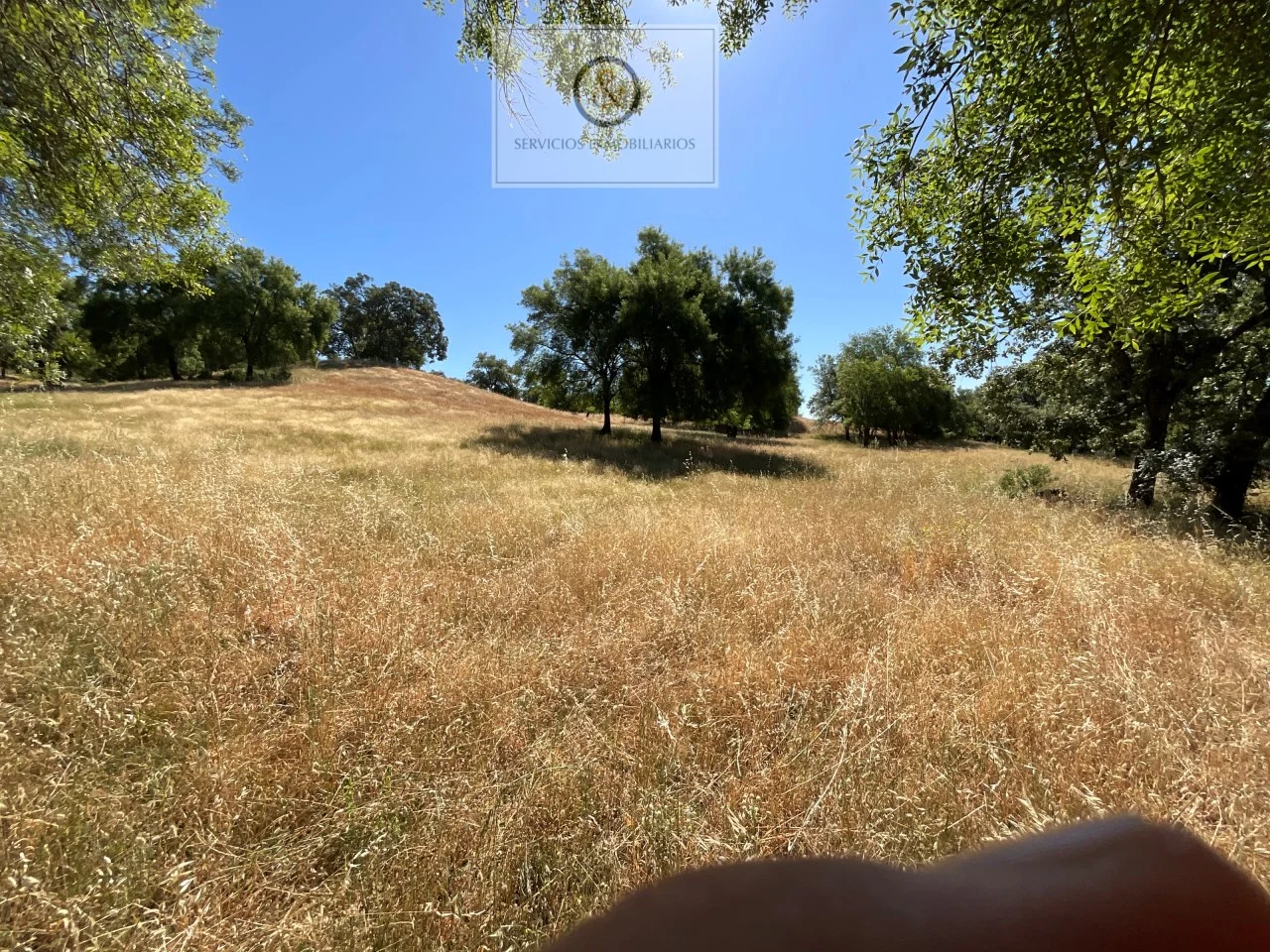 Finca rústica en Candeleda, 20.000 m²