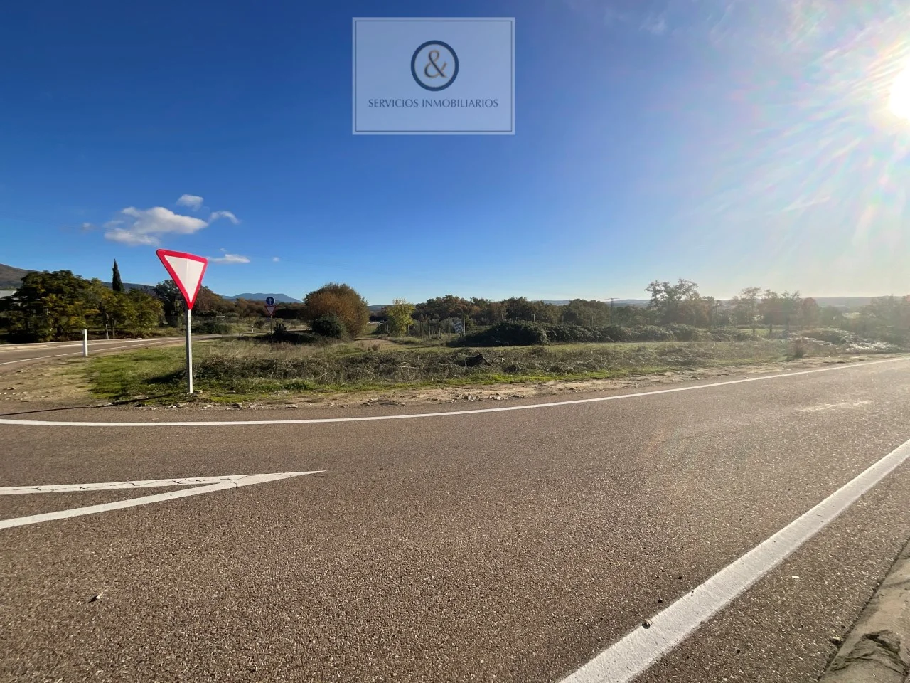 Fenced roadside plot near Candeleda
