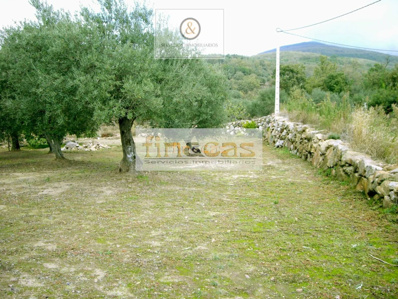 Parcela rústica cerca de Candeleda, 2.400 m²