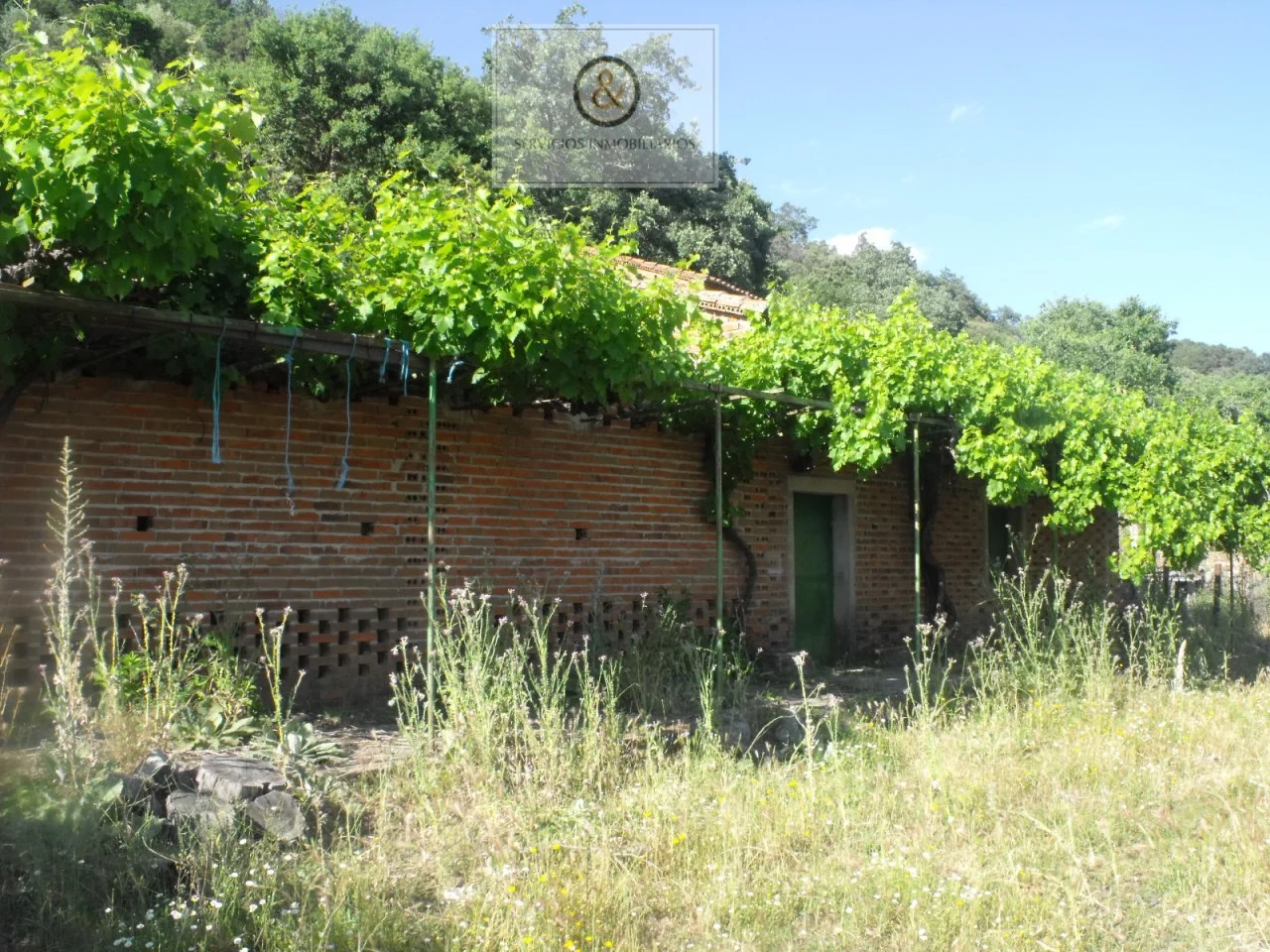 Rustic estate near Candeleda, 4,490 m²