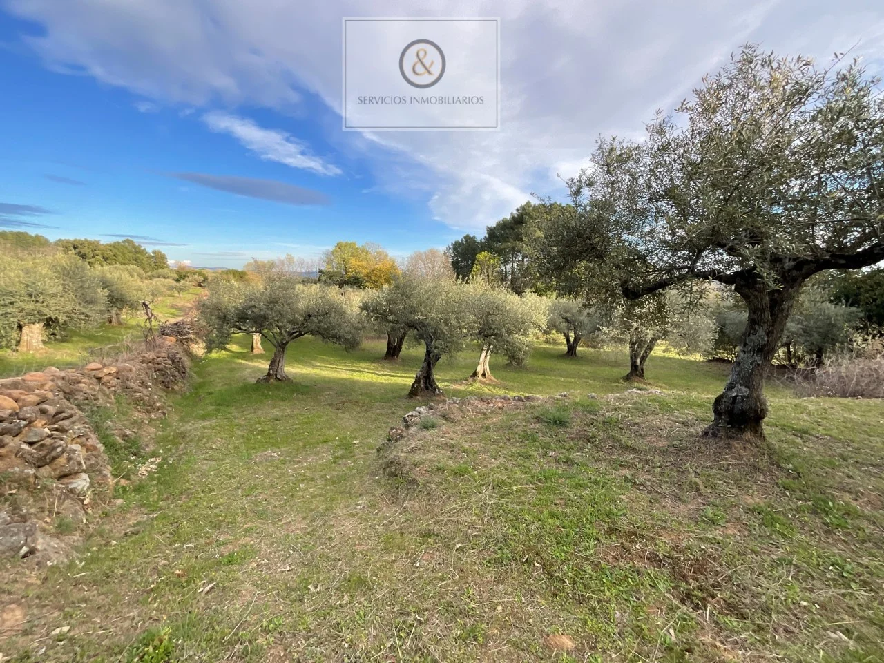 Rural plot in Candeleda, 1,794 m²