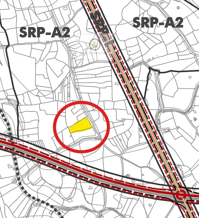 Olive grove near Candeleda, 5,222 m²