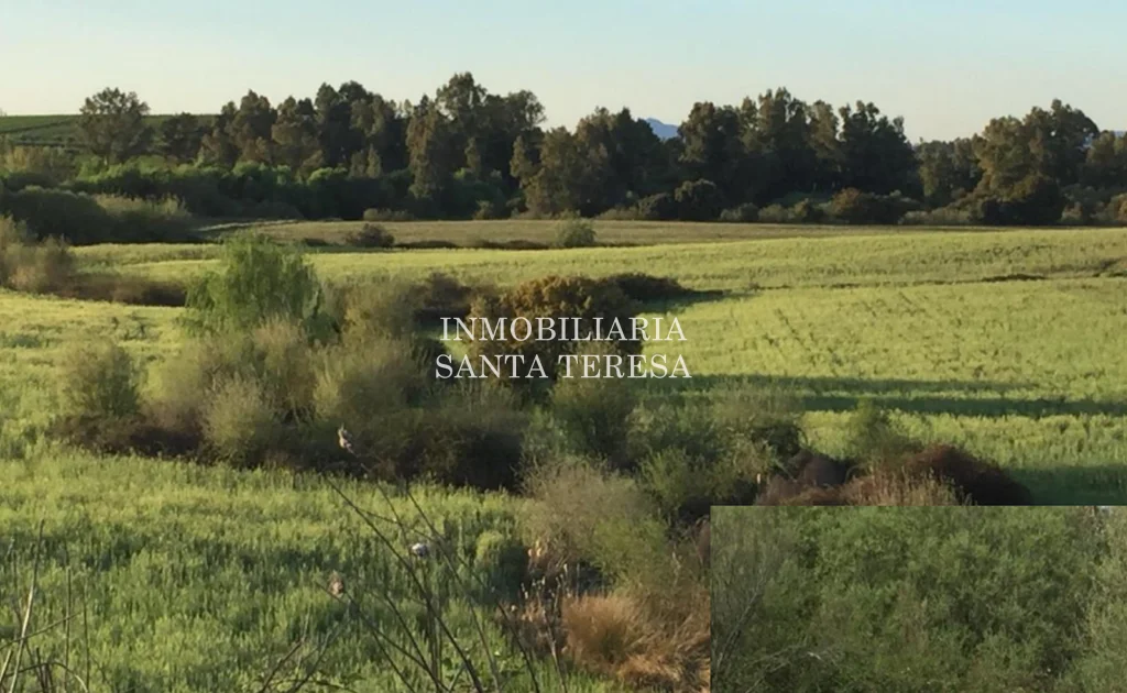 422-hectare finca with river frontage