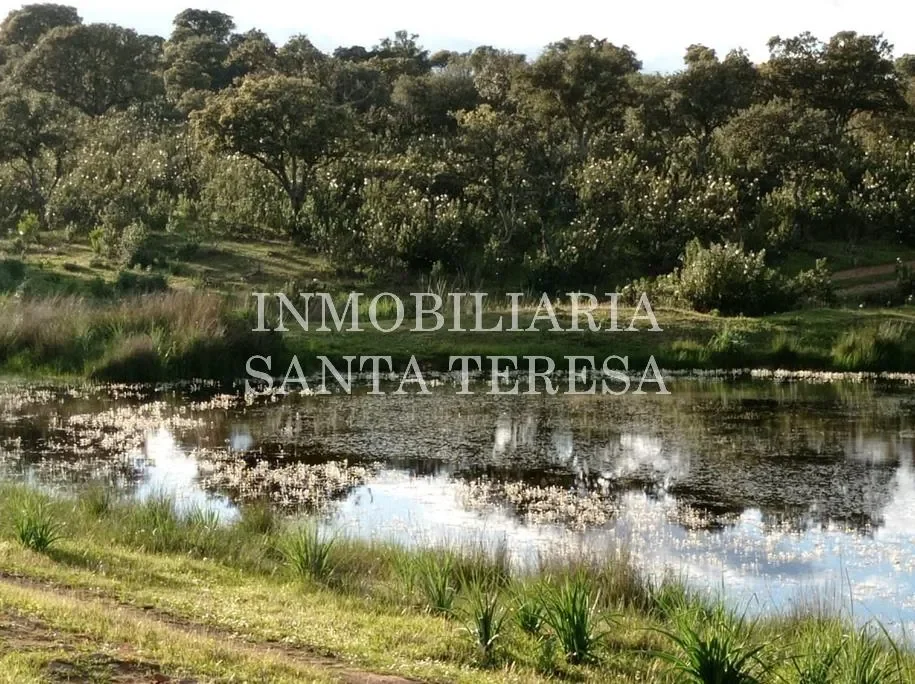 Finca rústica de 530 hectáreas con cortijo
