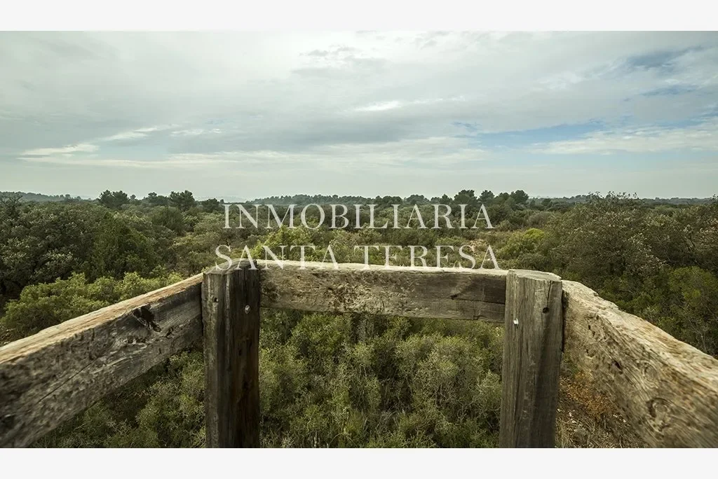 Gran finca cinegética cerca de Cuenca