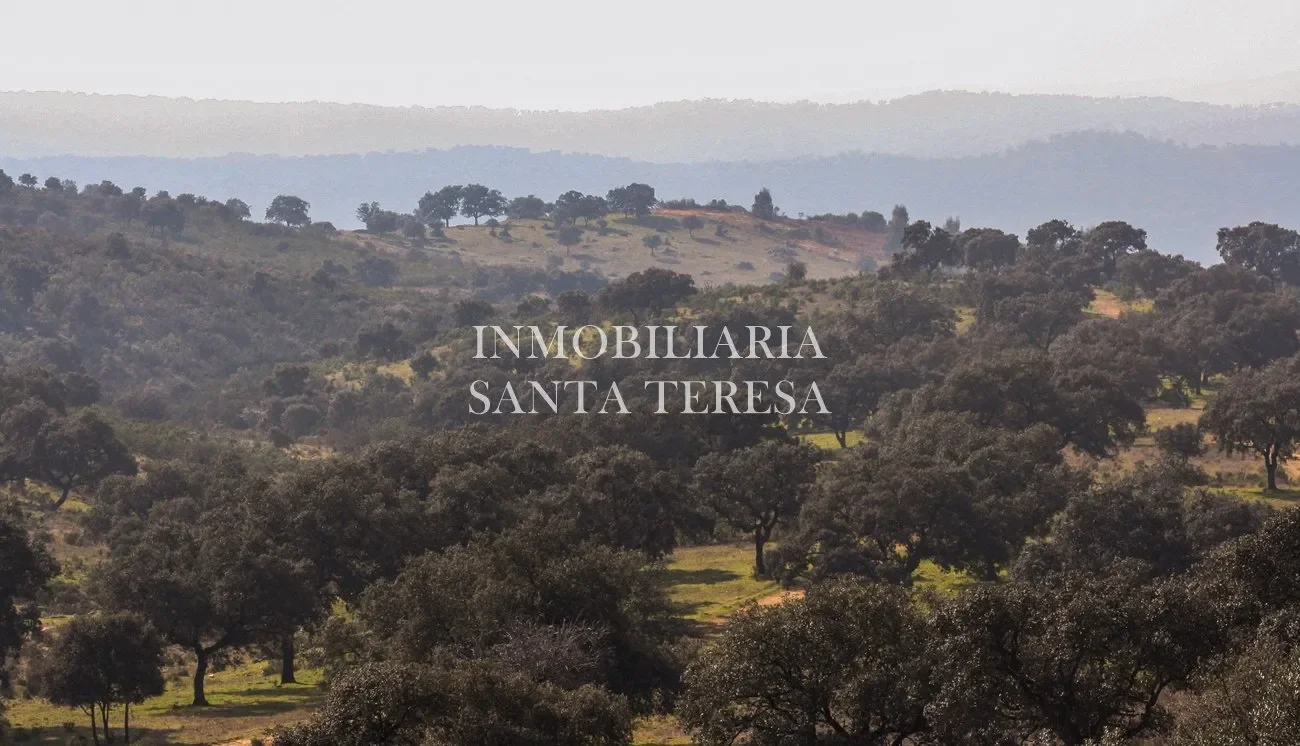 Finca dehesa de 200 hectáreas en El Ronquillo