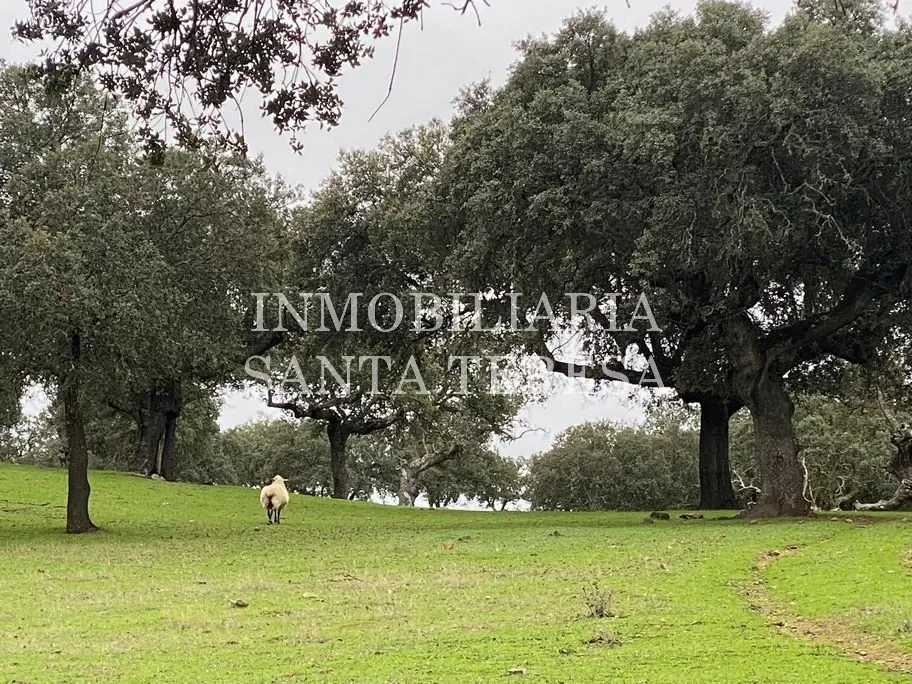 Gran finca extremeña con coto de caza