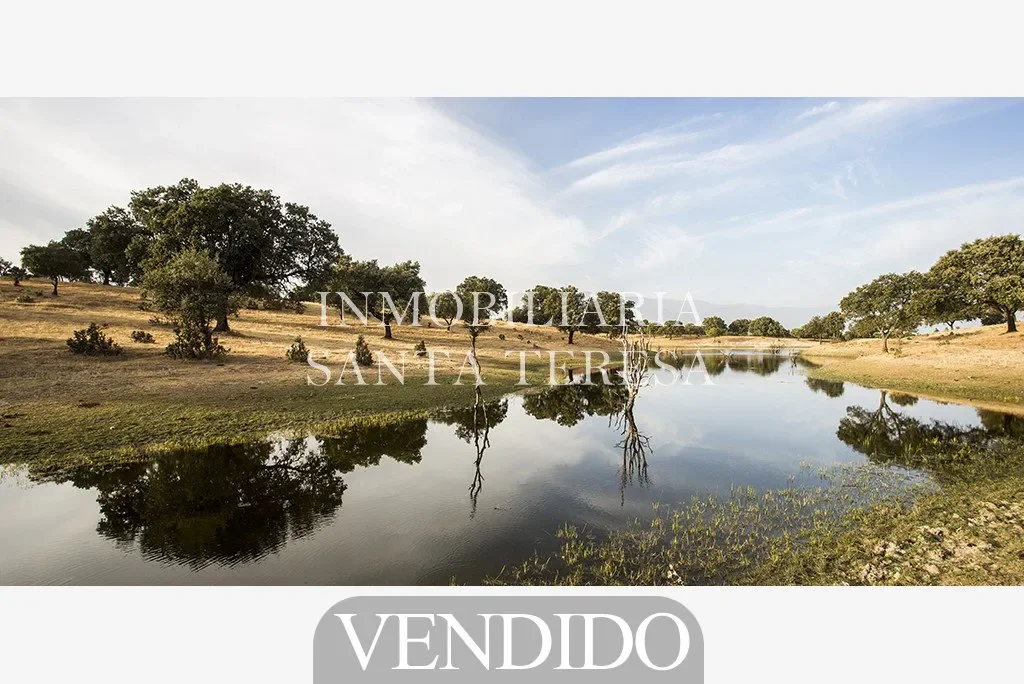 Finca de 20 hectáreas con licencia
