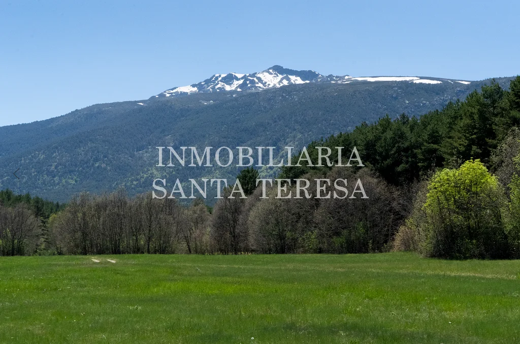 Gran finca cinegética cerca de Madrid