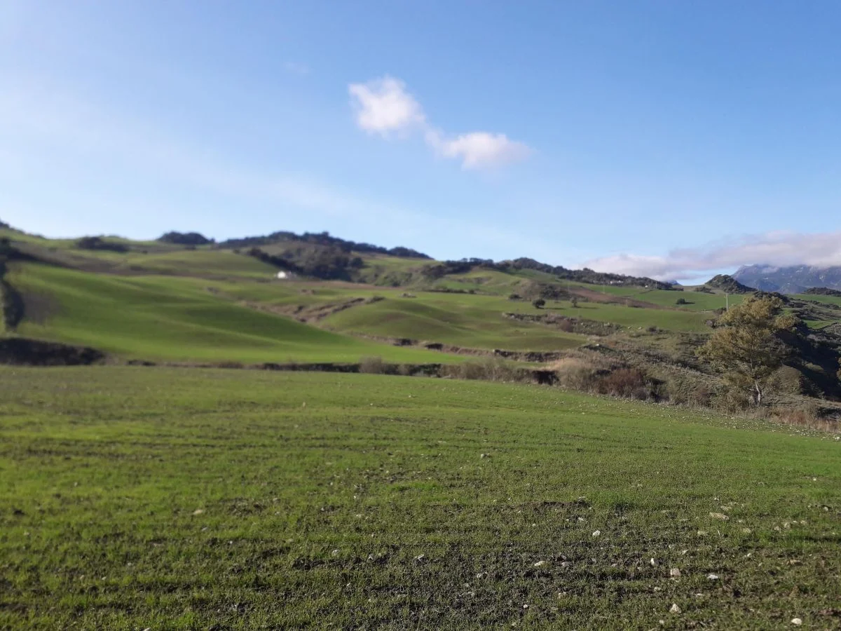 Reformed rural estate, 23-hectare plot