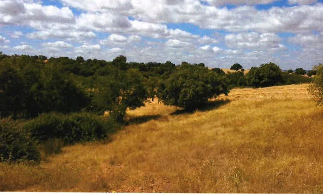 Gran finca rústica con coto de caza