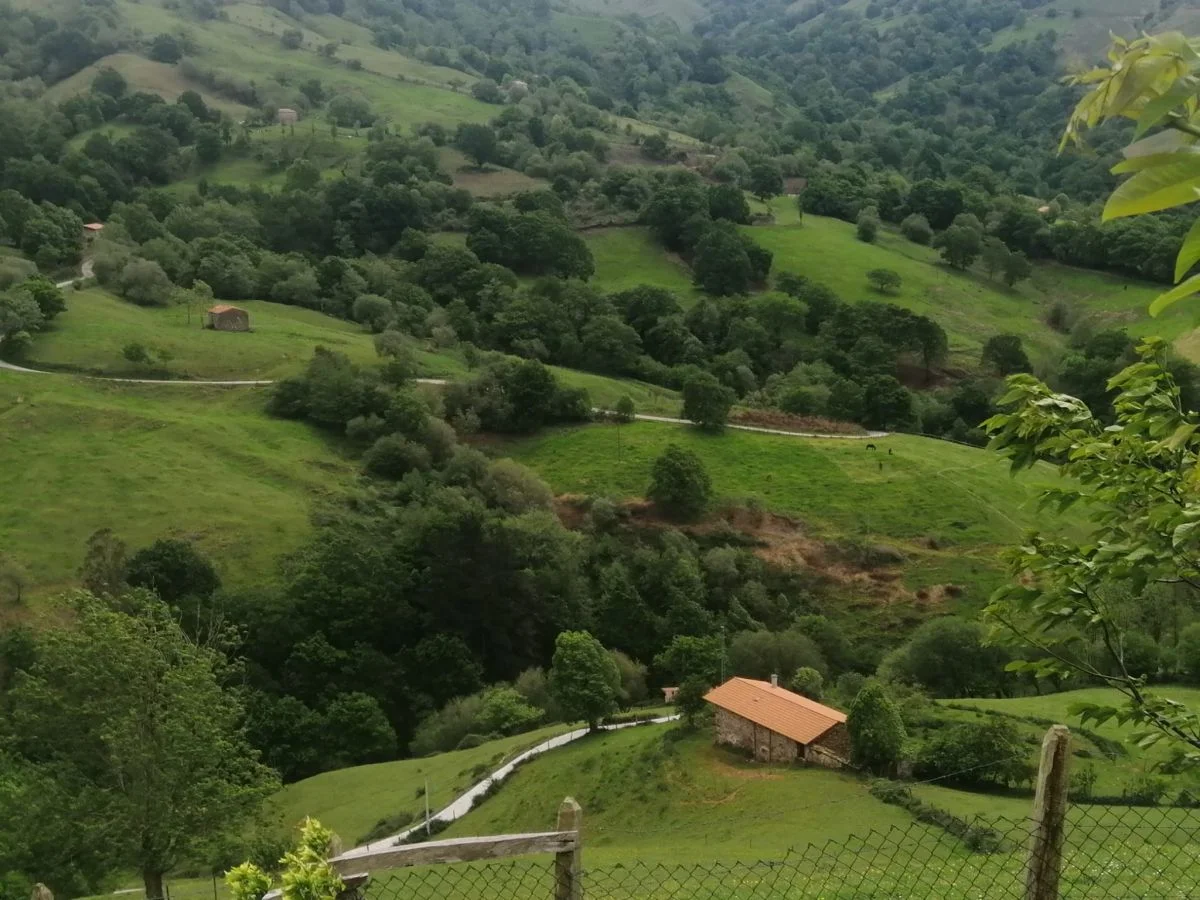 Casa pasiega en Saro para reformar