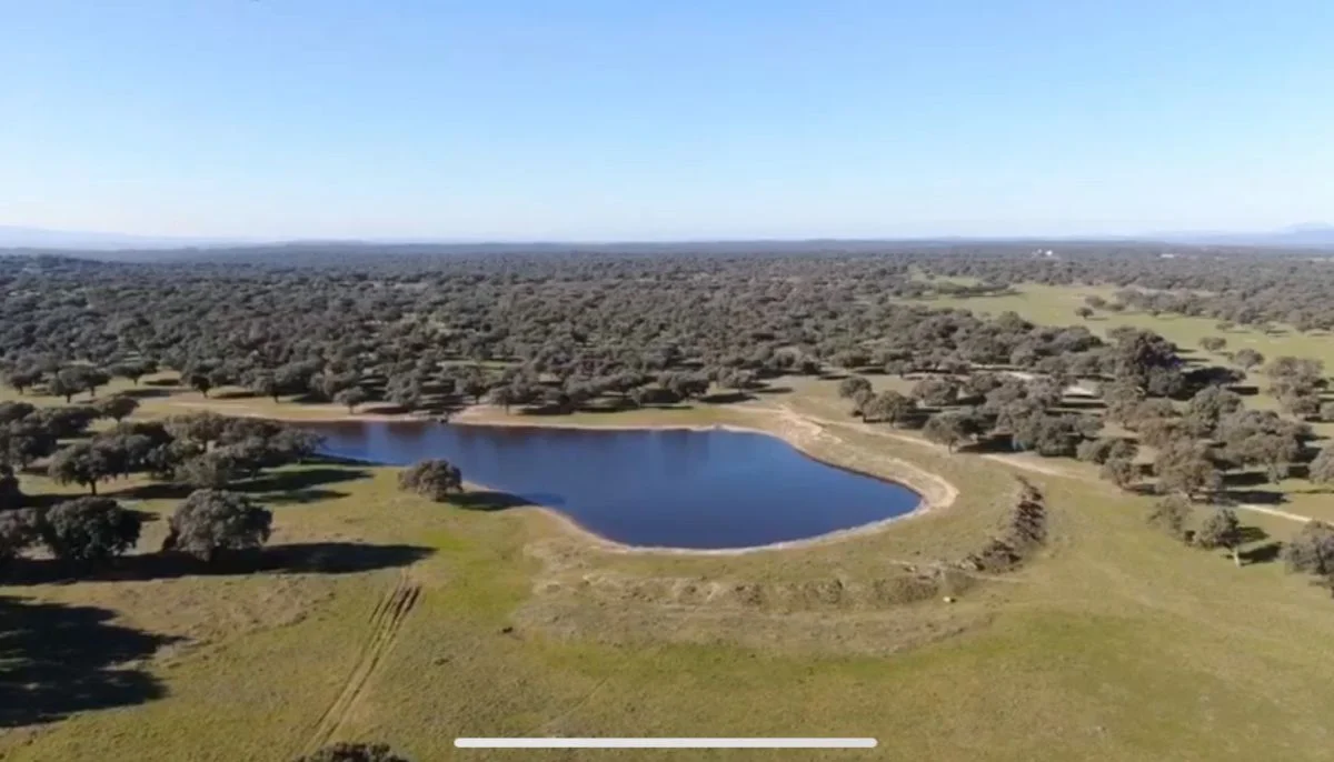 Finca ganadera de 290 hectáreas en Cáceres