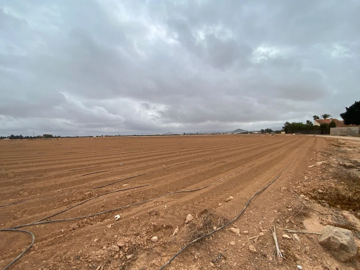 Productive rural plot, 118 m² house
