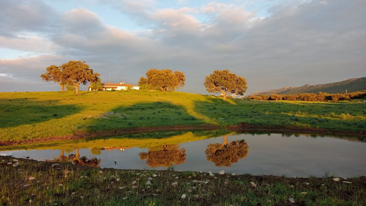 Finca agrícola y cinegética de 650 hectáreas