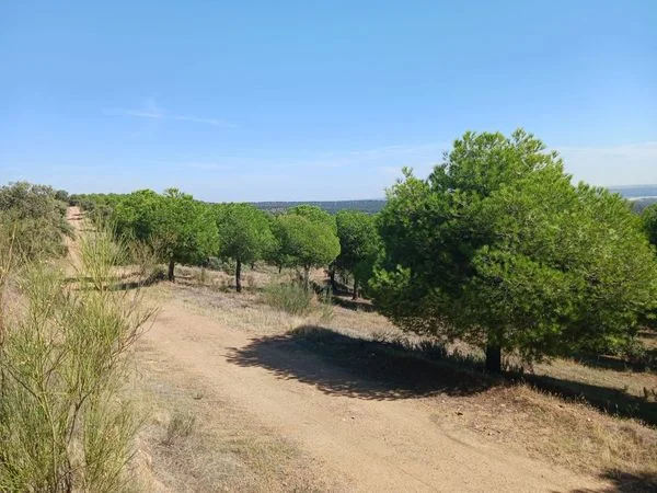Parcela rústica en Almorox con vistas a Gredos