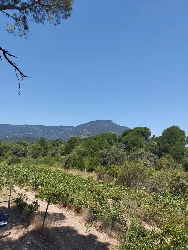 Large rural plot near San Martín