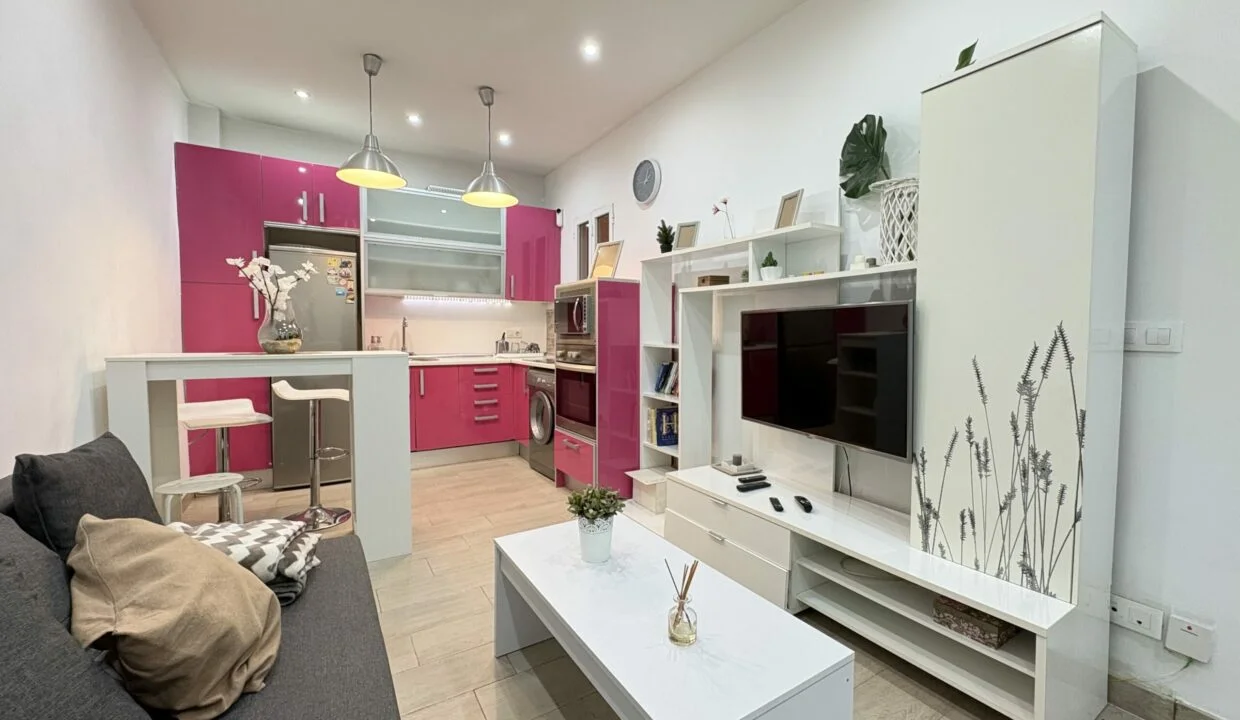 Reformed one-bedroom flat in Pacífico