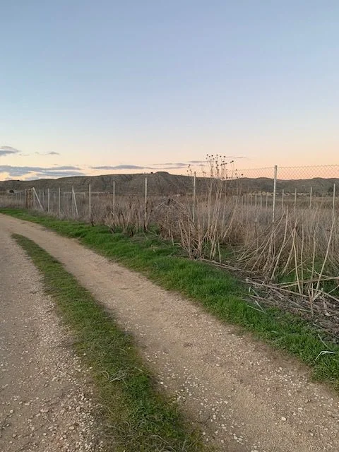 Terreno rústico llano con acceso vehicular