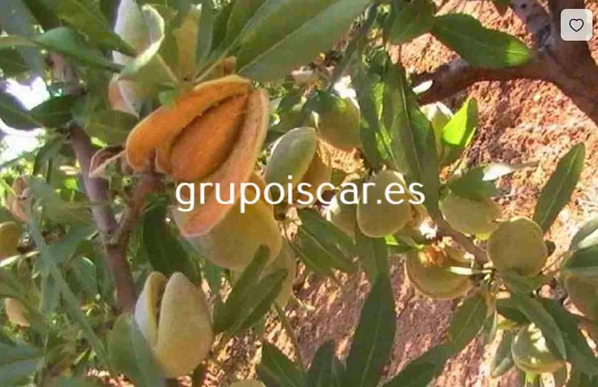 Agricultural estate with water production