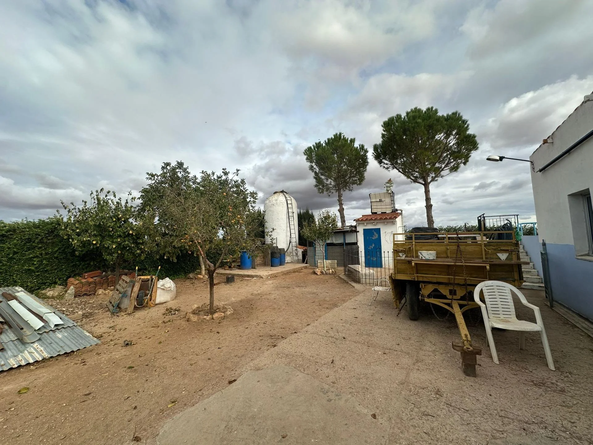 Productive olive grove near Quintanar