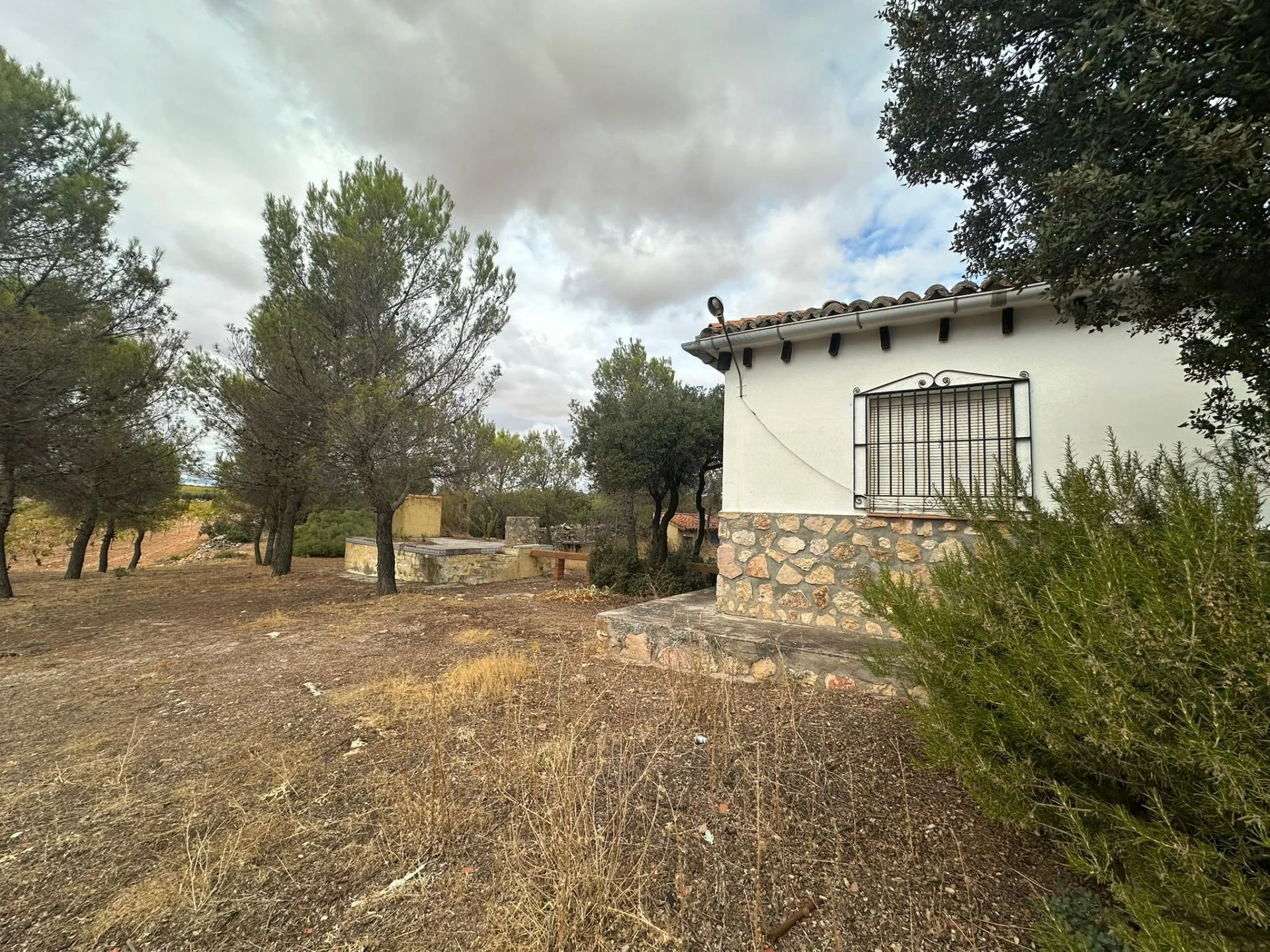 Productive olive grove with rural refuge