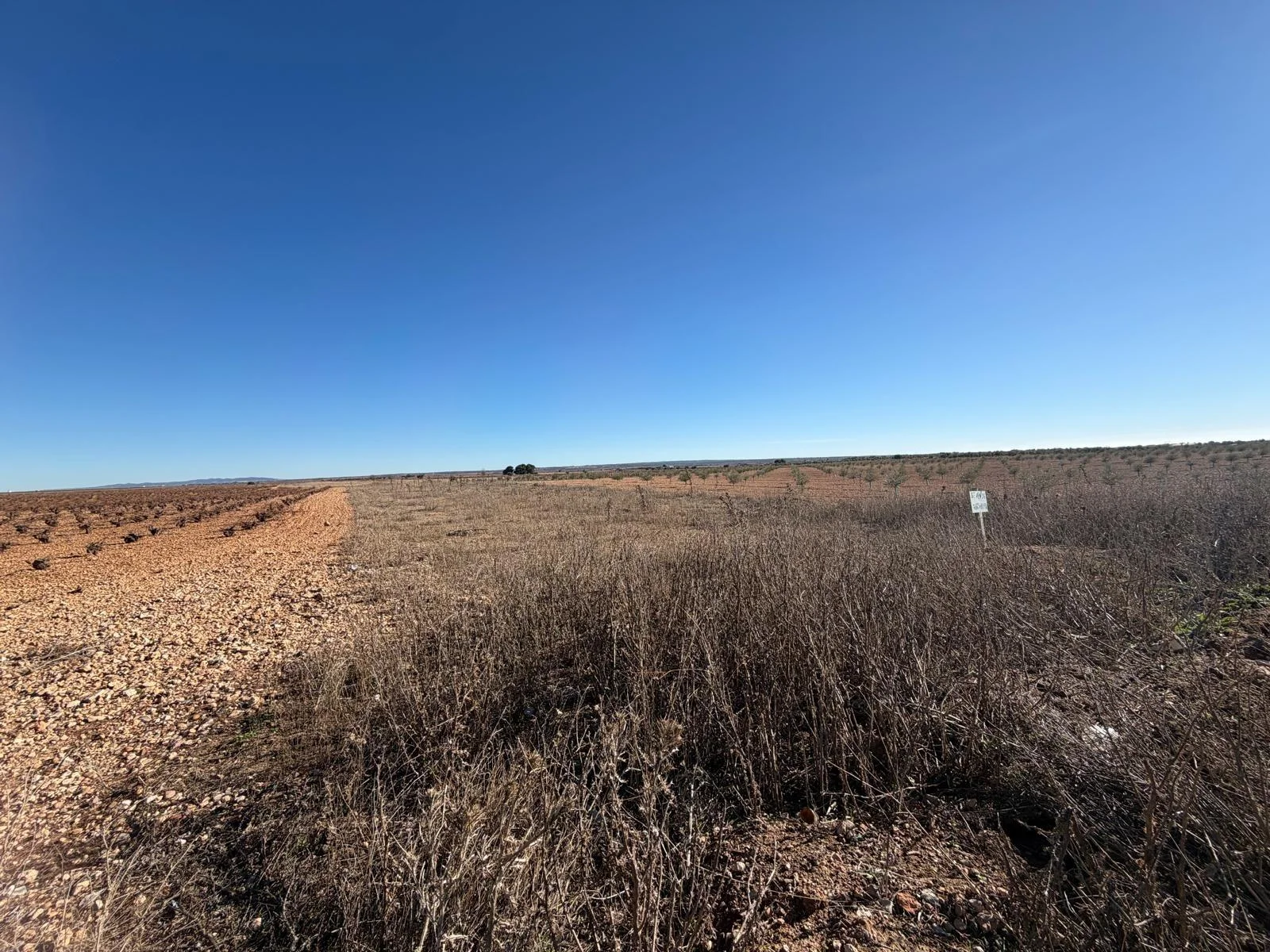Quintanar rural plot, 3,236 m²