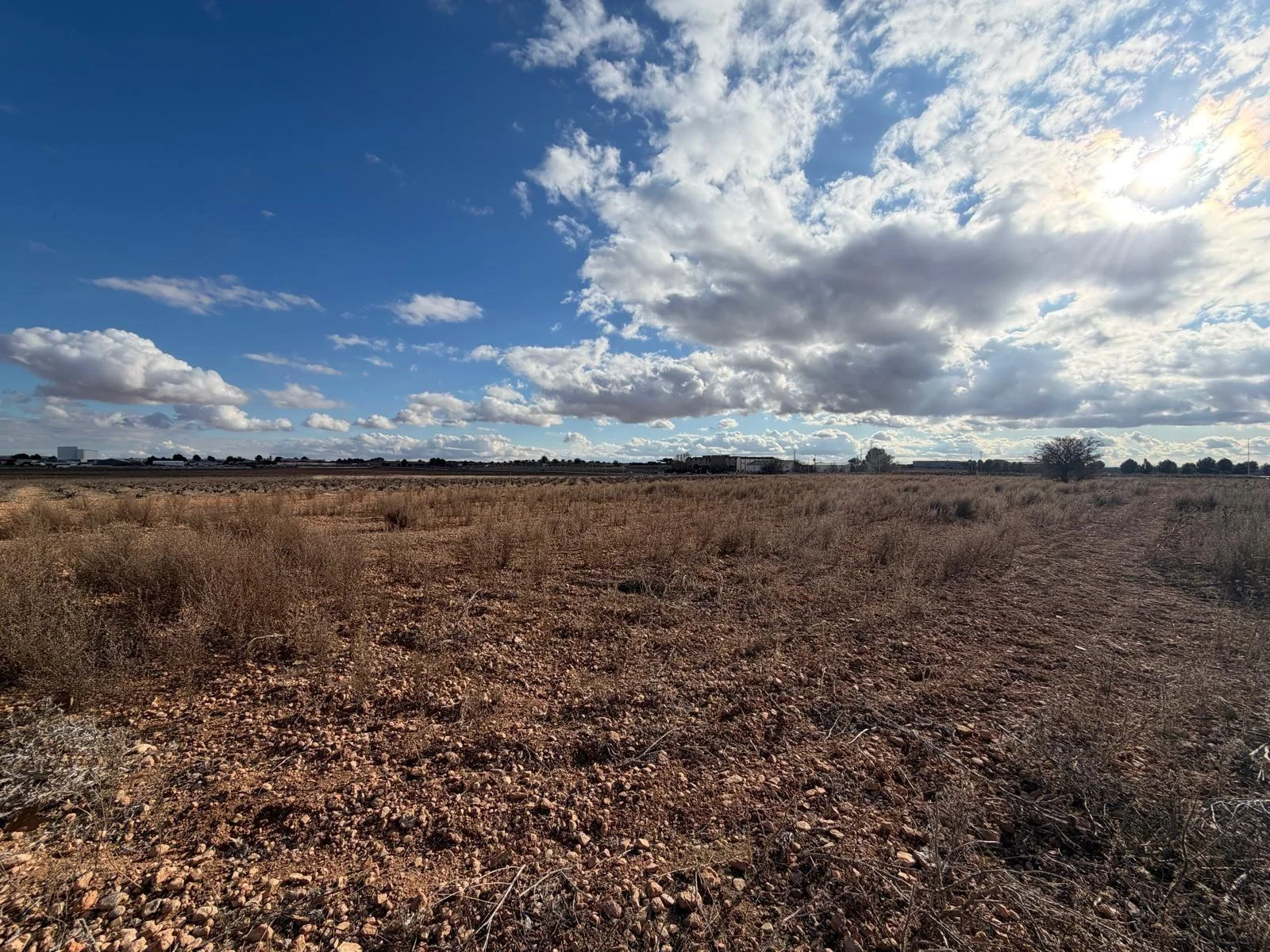 Suelo agrario junto a colegio de alta demanda