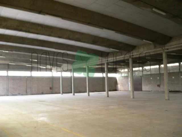 Nave industrial con muelles de carga