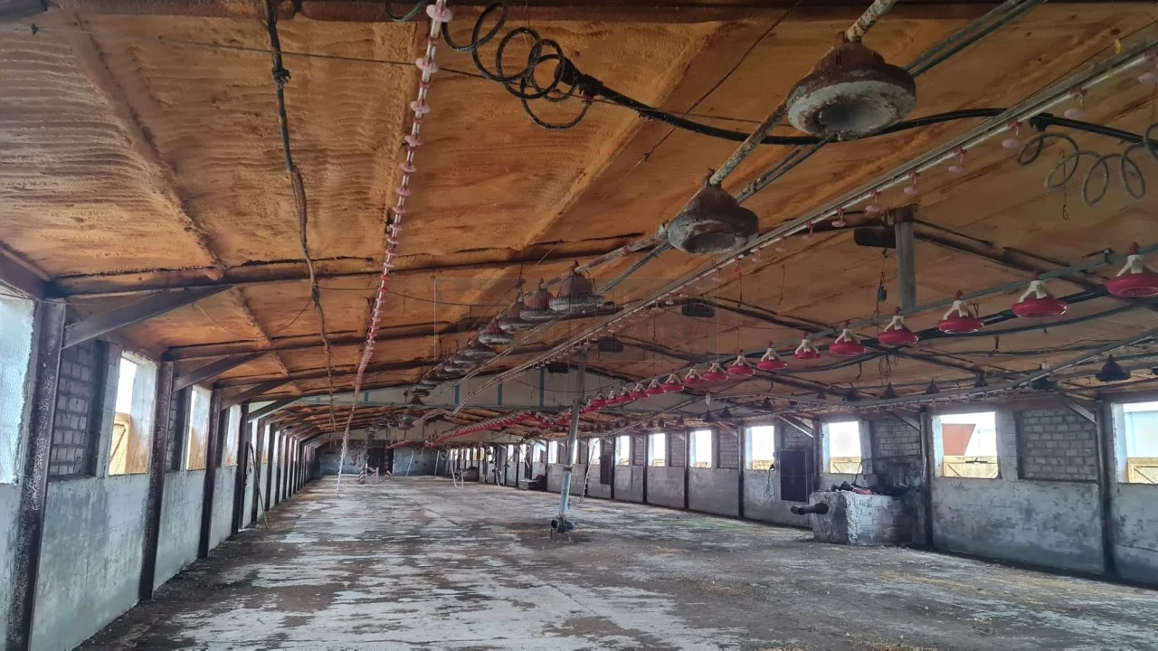 Industrial poultry farm with 10,104 m² plot