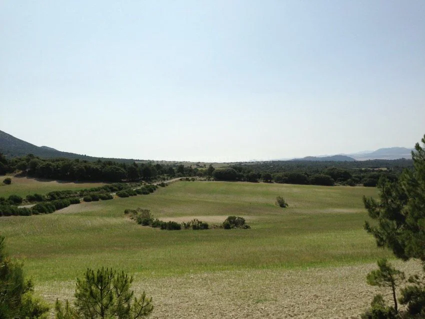 Large rural estate with development study