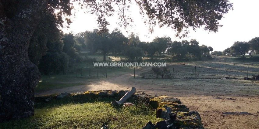 Finca rústica de 42 hectáreas con casa
