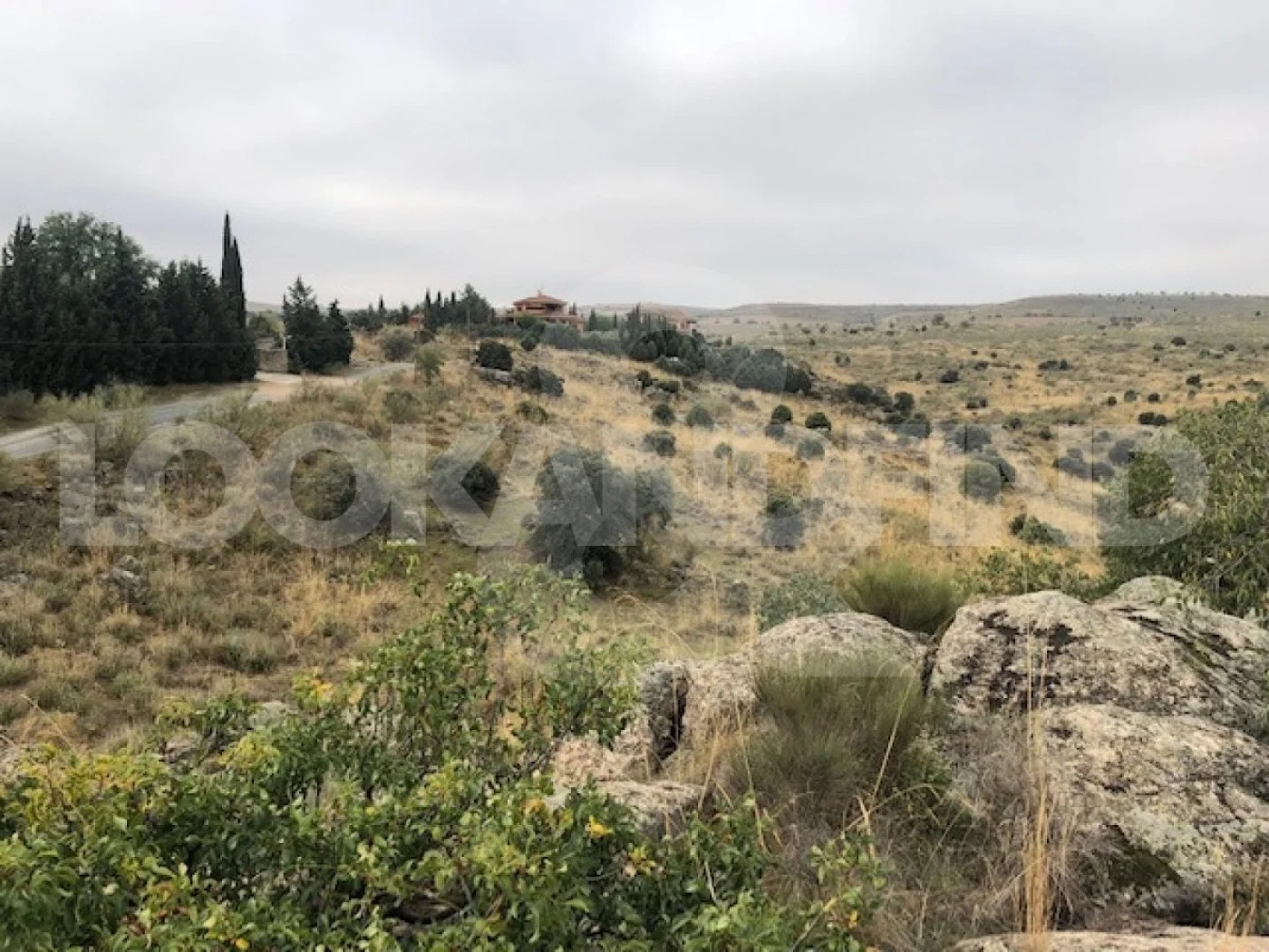 Parcela de 25.000 m² en Toledo con acometidas