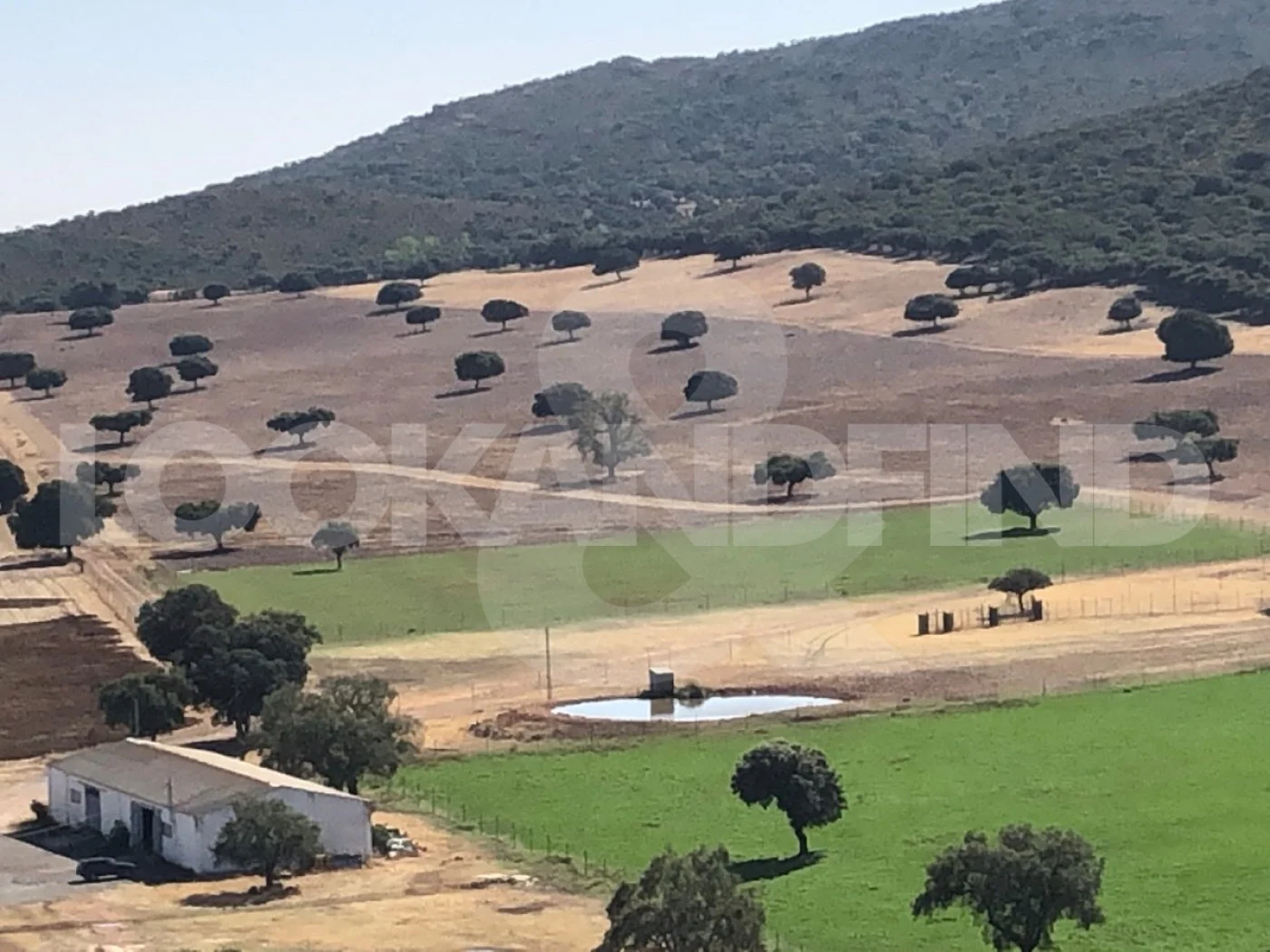 Large hunting estate with olive production