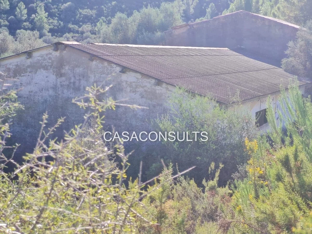 Granja de 730 m² con gran parcela