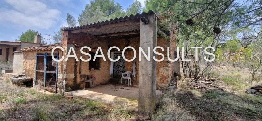 Two rural masias with 20,000 m² land