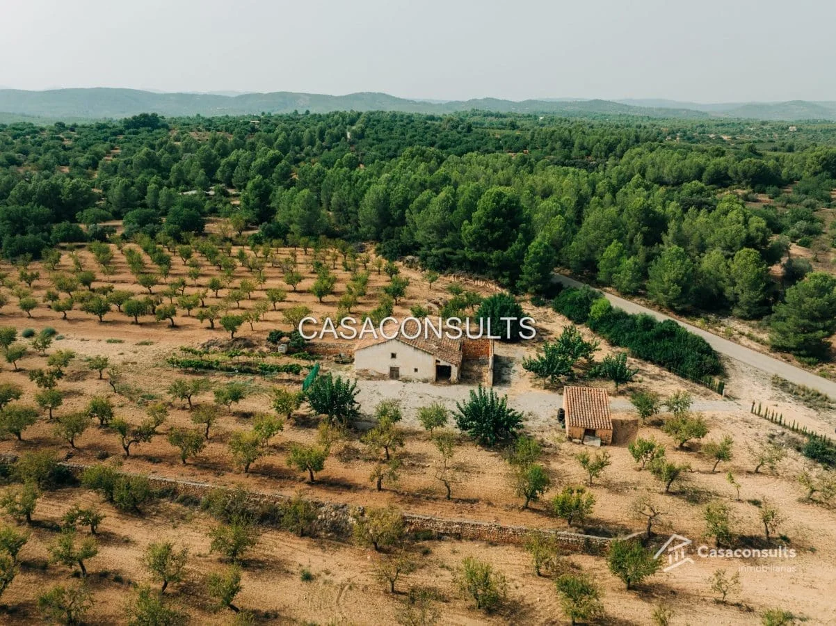 Rural masía with 20,563 m² plot