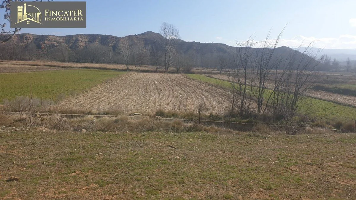 Irrigated rural land in Villastar