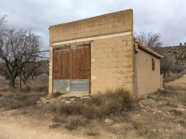 Rural almond plot with outbuilding