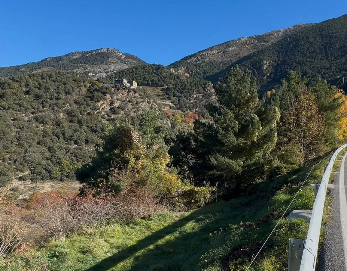 Parcela edificable para seis chalets independientes