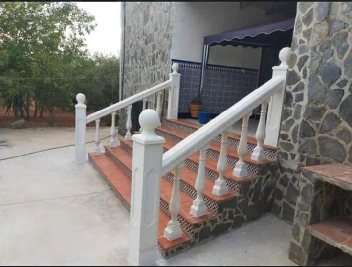 Chalet con olivar y piscina