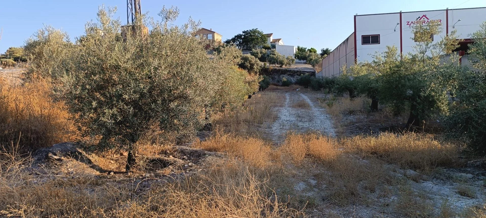 Developable Rute plot, 1,497 m²